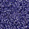 MIYUKI Round Rocailles Beads SEED-G009-RR0649-3