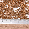 MIYUKI Delica Beads SEED-MY11-DB2287-4