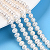 Natural Cultured Freshwater Pearl Beads Strands PEAR-N016-05B-2