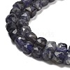 Natural Iolite Beads Strands G-H042-A52-02-4