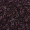 MIYUKI Delica Beads Small X-SEED-J020-DBS0012-2