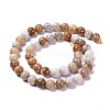 Natural Fossil Coral Beads Strands X-G-D135-8mm-01-2