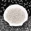 6/0 Baking Paint Transparent Fringe Glass Seed Beads X1-SEED-N006-06A-3