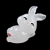 Luminous Resin Rabbit Ornament DJEW-R011-02A-2