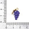 Fruit Alloy Enamel Pendants ENAM-P264-02G-G03-4