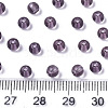 Transparent Glass Beads SEED-S040-09A-01-4