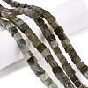 Natural Labradorite Beads Strands G-T139-6x6-19A-1