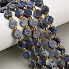 Natural Blue Spot Jasper Beads Strands G-F833-B16-01-1