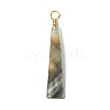 Natural Black Lip Shell Pendants PALLOY-JF03334-2