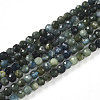 Natural Blue Tourmaline Beads Strands G-R475-027-01-2