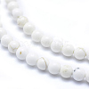 Natural Magnesite Beads Strands TURQ-G148-09-4mm-3