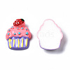 Spray Painted Resin Cabochons CRES-Q215-006-3