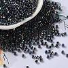 Glass Seed Beads X-SEED-S042-13A-19-1