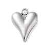 304 Stainless Steel Pendants STAS-G338-07P-1