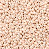6/0 Glass Seed Beads X1-SEED-L011-08A-24-3