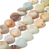 Frosted Natural Flower Amazonite Beads Strands G-P489-04-1