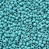 TOHO 6/0 Round Beads SEED-XTR06-0055-3