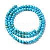 Dyed Natural Magnesite Beads Strands G-Q181-B01-01-3