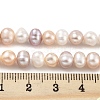 Natural Cultured Freshwater Pearl Beads Strands PEAR-C003-13E-5