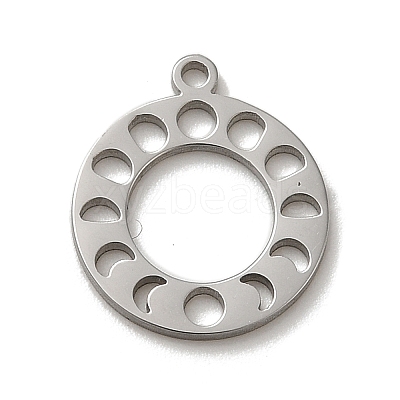 Non-Tarnish 304 Stainless Steel Charms LS-STAS-O005-10P-1