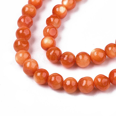 Natural Freshwater Shell Beads Strands SHEL-N003-24-B06-1
