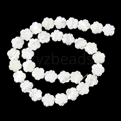 Natural Trochus Shell Beads Strands BSHE-E030-03-1