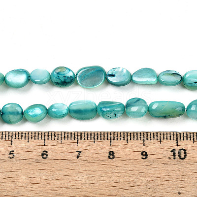 Natural White Shell Beads Strands SHEL-N036-21C-1