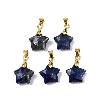 Natural Lapis Lazuli Charms X-G-N326-142-02-1