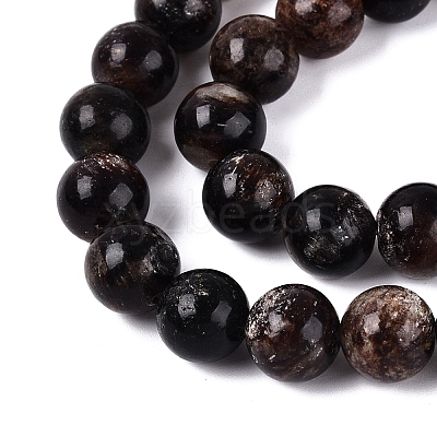 Natural Biotite Beads Strands G-Q616-01D-1