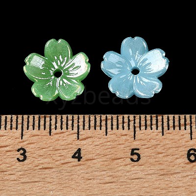 Acrylic Bead Caps OACR-G057-01D-1
