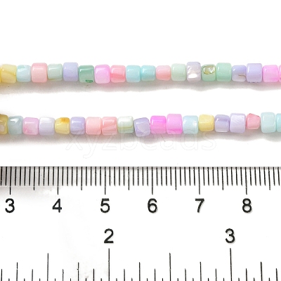 Rainbow Color Dyed Natural Freshwater Shell Beads Strands X1-SHEL-G018-02D-1