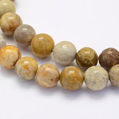 Natural Fossil Coral Beads Strands G-G697-F01-8mm-1
