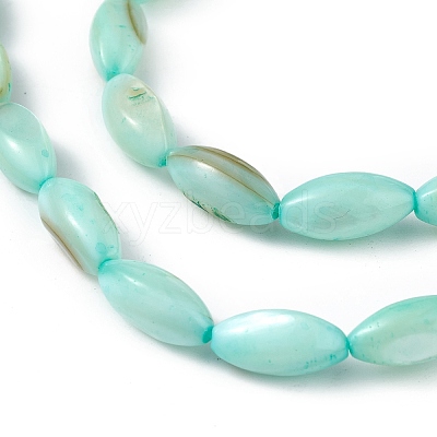Natural Freshwater Shell Dyed Beads Strands SHEL-M018-13-1