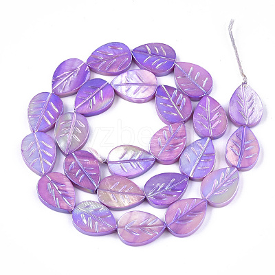 Freshwater Shell Beads Strands X-SHEL-S274-61D-1