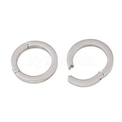 304 Stainless Steel Spring Gate Rings SA-CBA02E8-15C-P-1