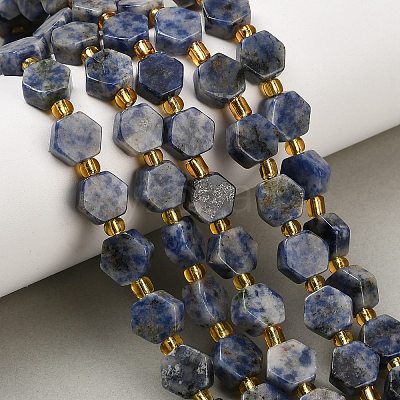 Natural Blue Spot Jasper Beads Strands G-F833-B16-01-1