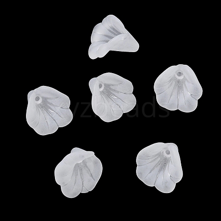 Acrylic Frosted Bead Caps AC-CBA81FF-04A-1