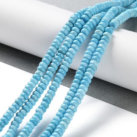 Natural Howlite Beads Strands G-K343-C23-01-1