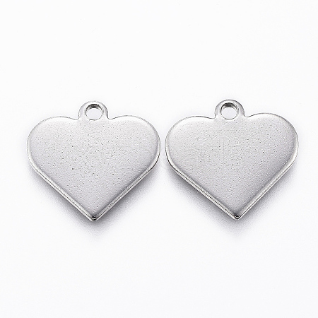 304 Stainless Steel Charms LS-STAS-K154-18P-1