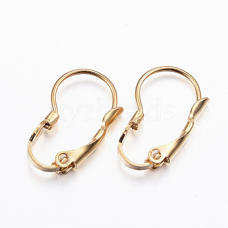 304 Stainless Steel Leverback Earring Findings STAS-G179-02G-1