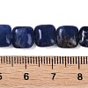 Natural Sodalite Beads Strands G-M435-A07-01-5