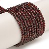 Natural Garnet Beads Strands X-G-I341-09C-1