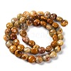 Natural Crazy Agate Beads Strands G-T047-A23-01-3