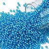 TOHO Round Seed Beads SEED-XTR11-0931-1