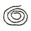 Natural African Turquoise(Jasper) Beads Strands G-P472-02-2