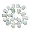 Natural Amazonite Beads Strands G-H078-A06-01-2