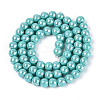 Electroplate Opaque Glass Beads Strands GLAA-T032-P6mm-AB24-2