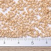 MIYUKI Delica Beads Small SEED-X0054-DBS0389-4