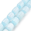 Natural Selenite Beads Strands G-F750-B-03-1