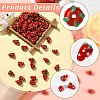 60Pcs Handmade Lampwork 3D Strawberry Beads LAMP-LT0001-03-4